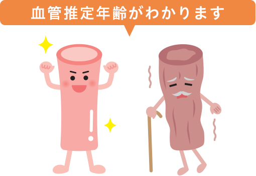 血管推定年齢がわかります